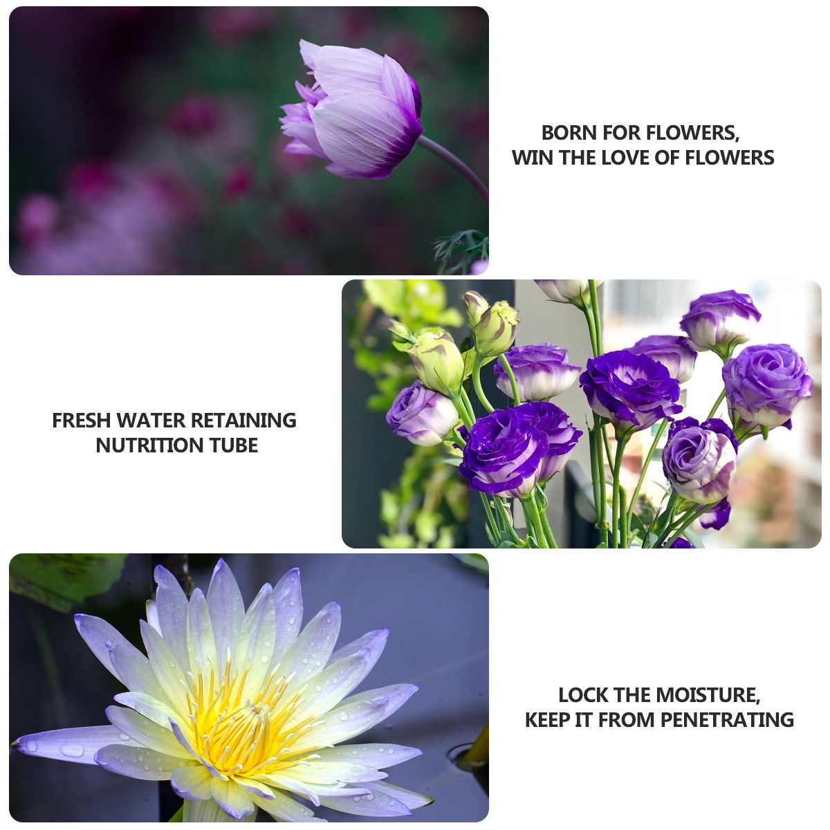 Longs Florist Supply - 50Pcs Premium Plastic Flower Nutrition Tubes