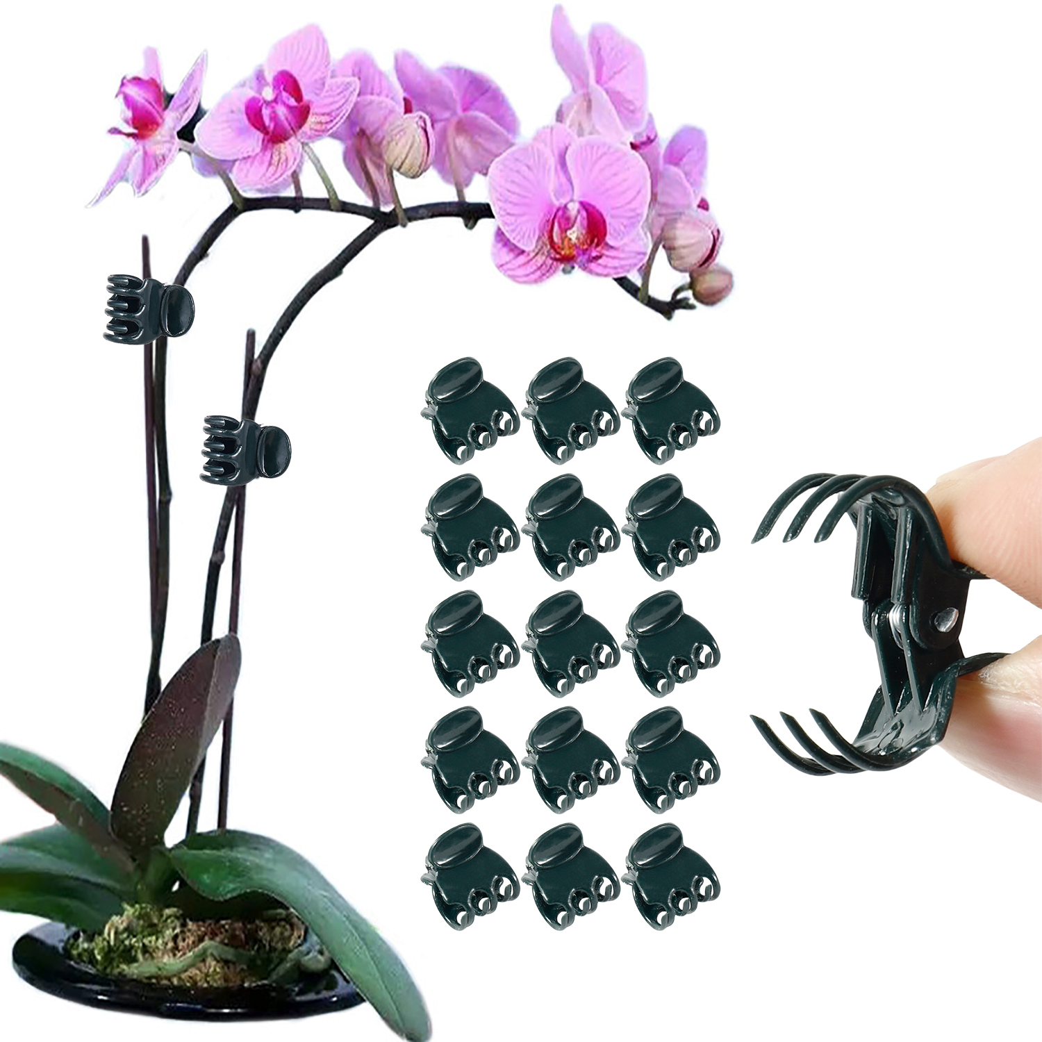 Florist Supp - 50/100Pcs Plant Clips Butterfly Orchid Flower