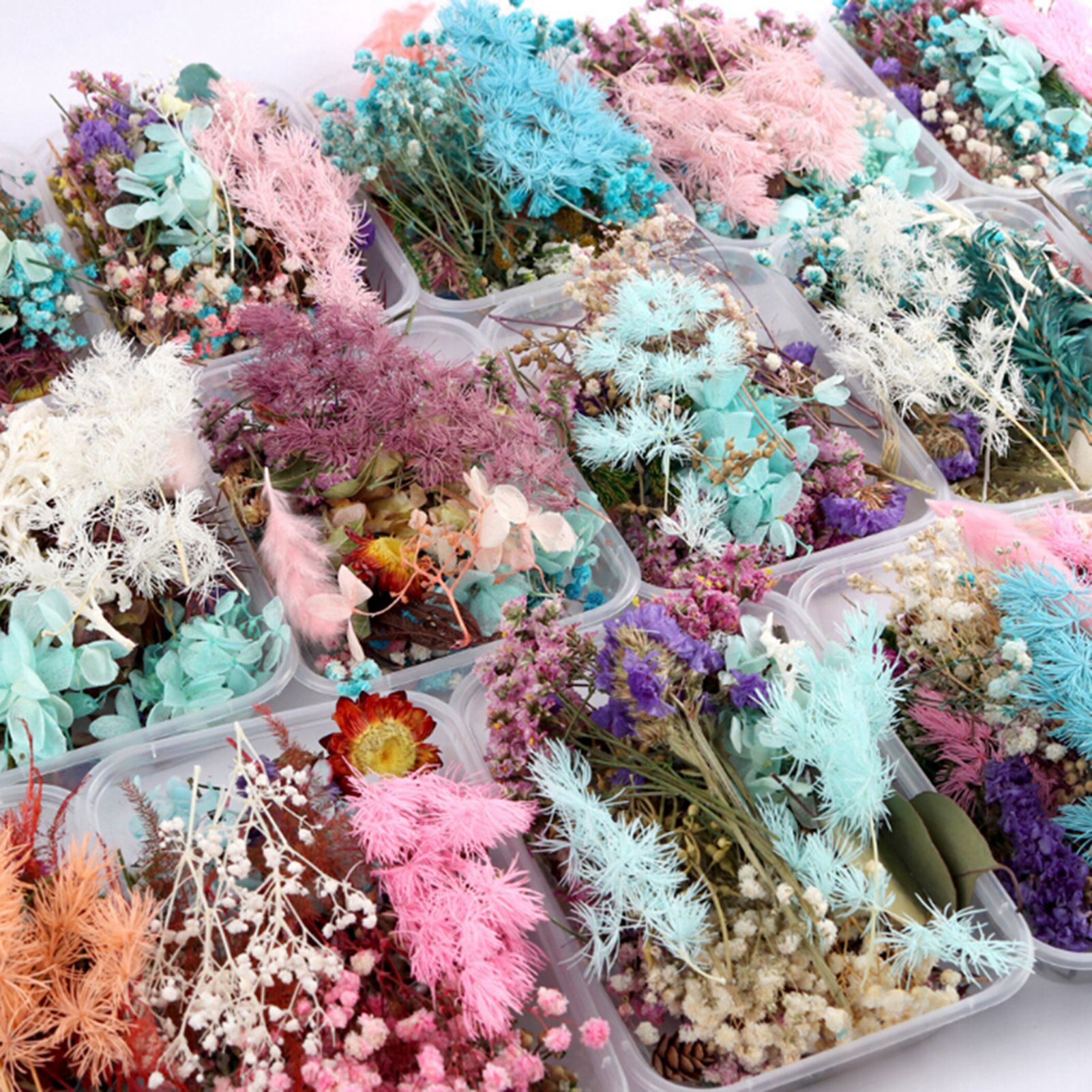 Baby Breath Dried - Dried flower handmade DIY production material