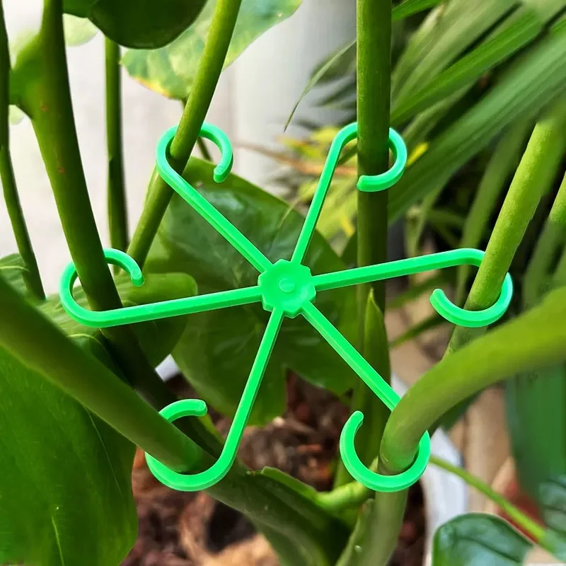 Flower Plant Stem Support Stak - مراجعة Florist Supp وسعره