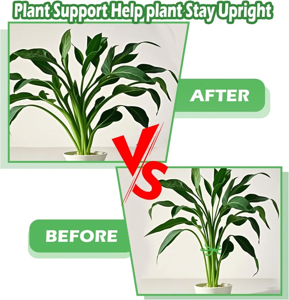 Flower Plant Stem Support Stak - مراجعة Florist Supp وسعره
