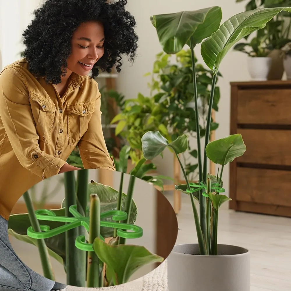 Flower Plant Stem Support Stak - مراجعة Florist Supp وسعره