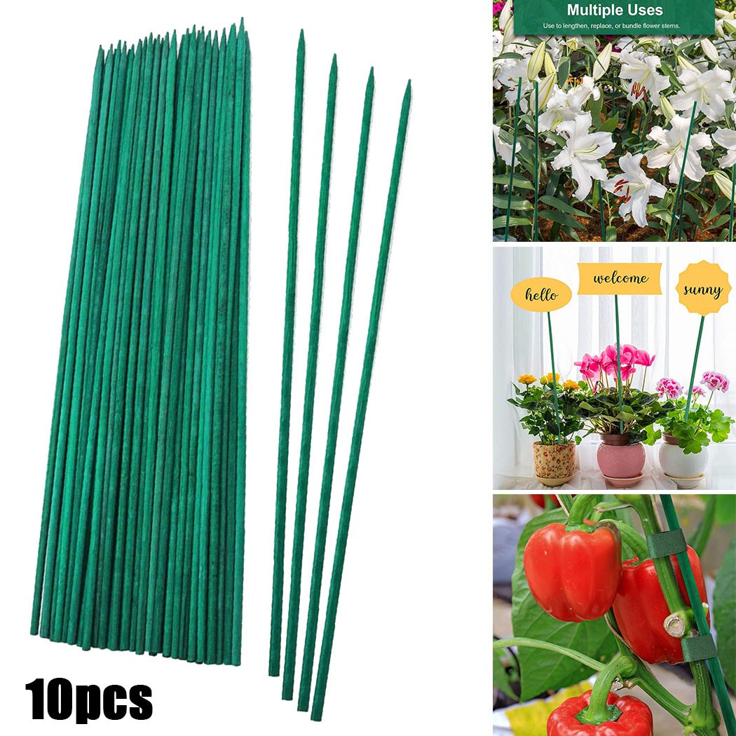 10pcs 40cm Green Plant Support - مراجعة Florist Supp وسعره