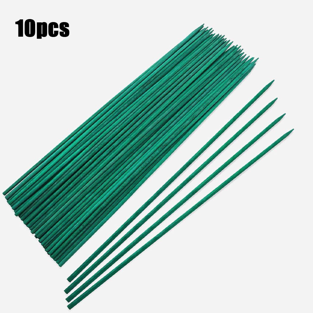 10pcs 40cm Green Plant Support - مراجعة Florist Supp وسعره