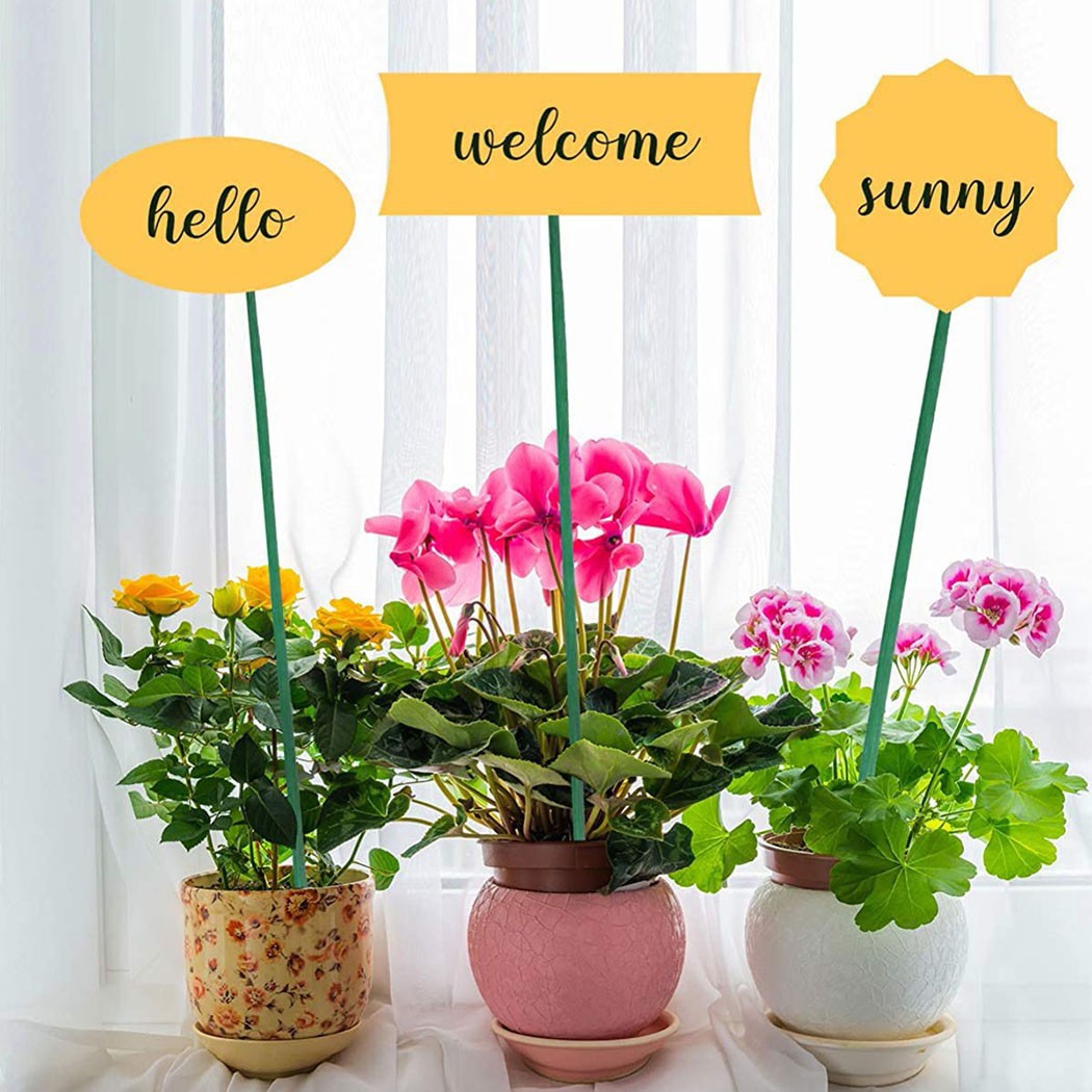 10pcs 40cm Green Plant Support - مراجعة Florist Supp وسعره