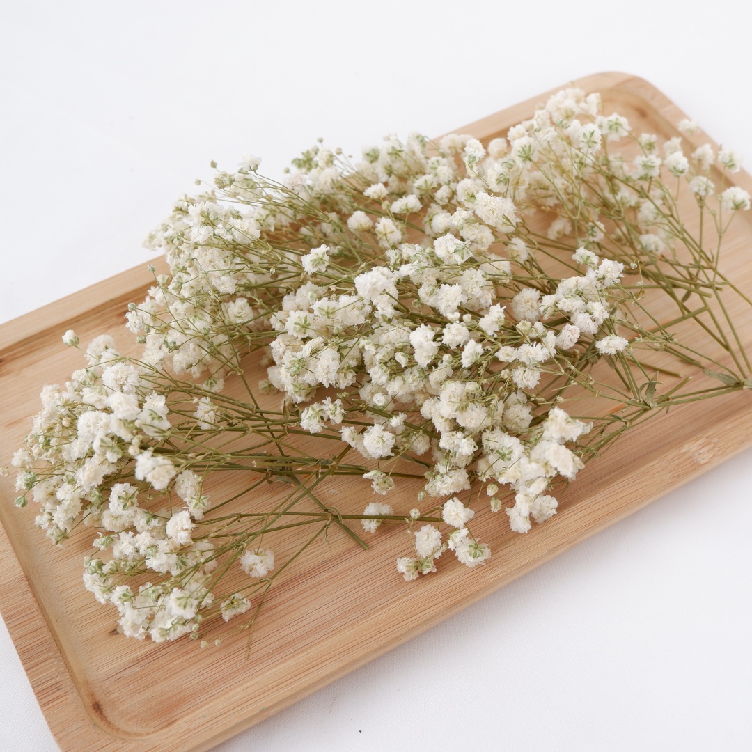 Dried Flowers White Mini Dried - مراجعة Baby Breath Dried وسعره