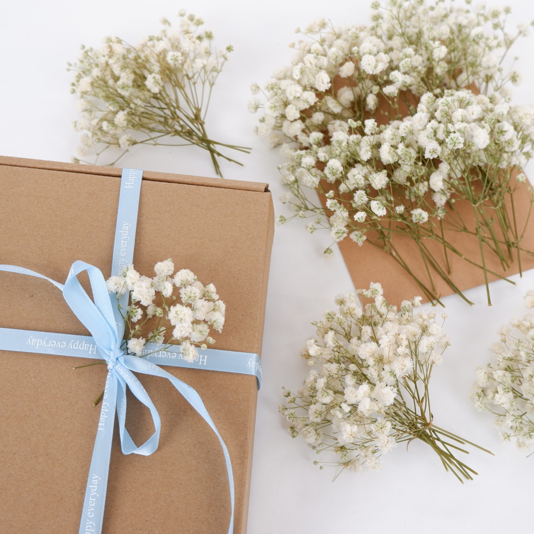 Dried Flowers White Mini Dried - مراجعة Baby Breath Dried وسعره