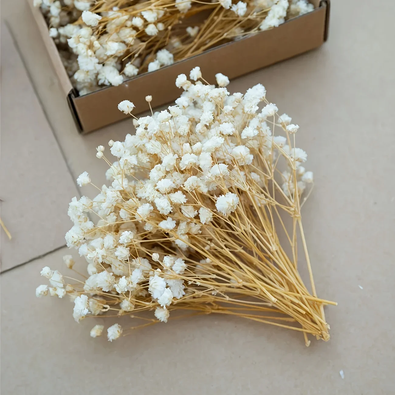 50pcs Mini Dried Baby's Breath - مراجعة Baby Breath Dried وسعره