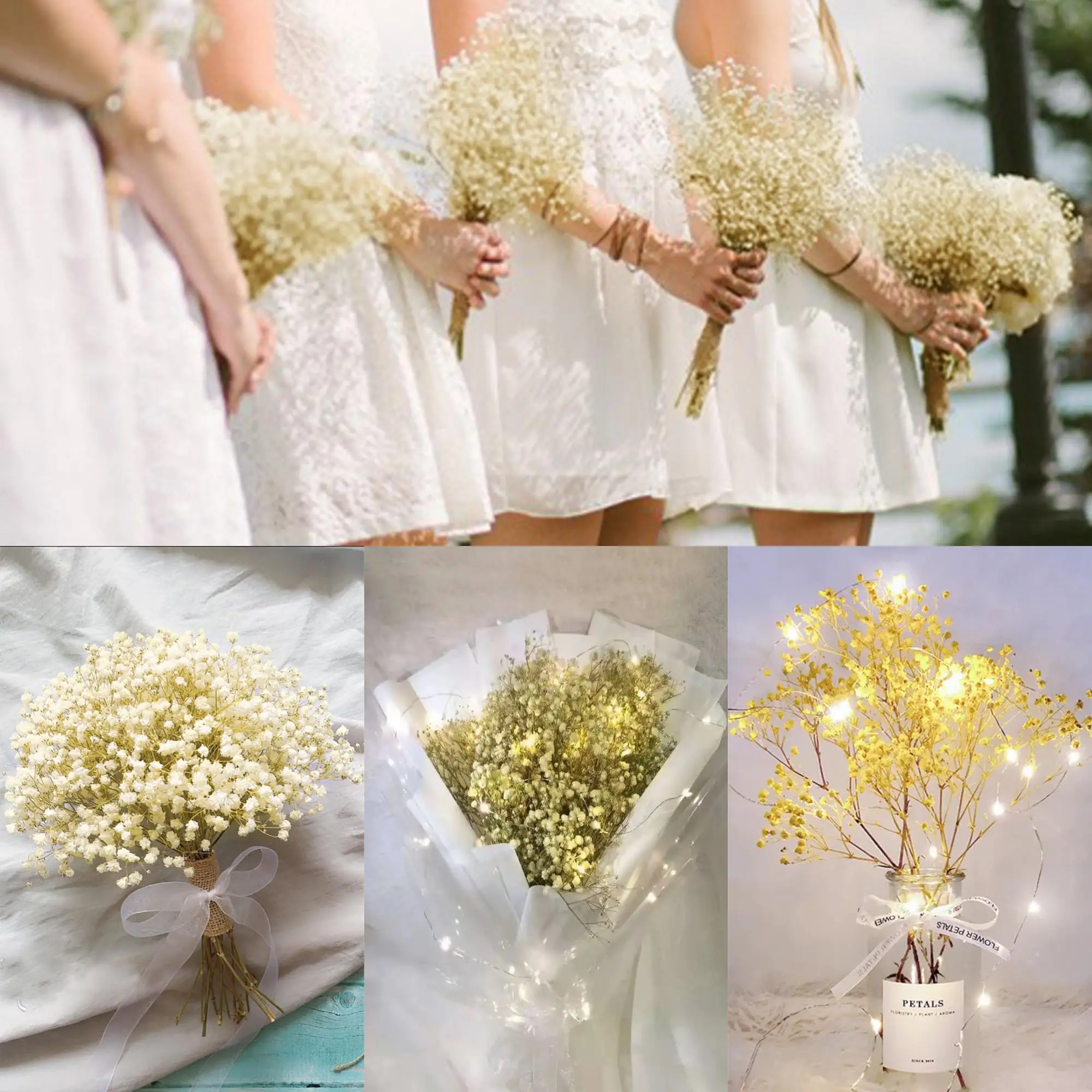 50pcs Mini Dried Baby's Breath - مراجعة Baby Breath Dried وسعره