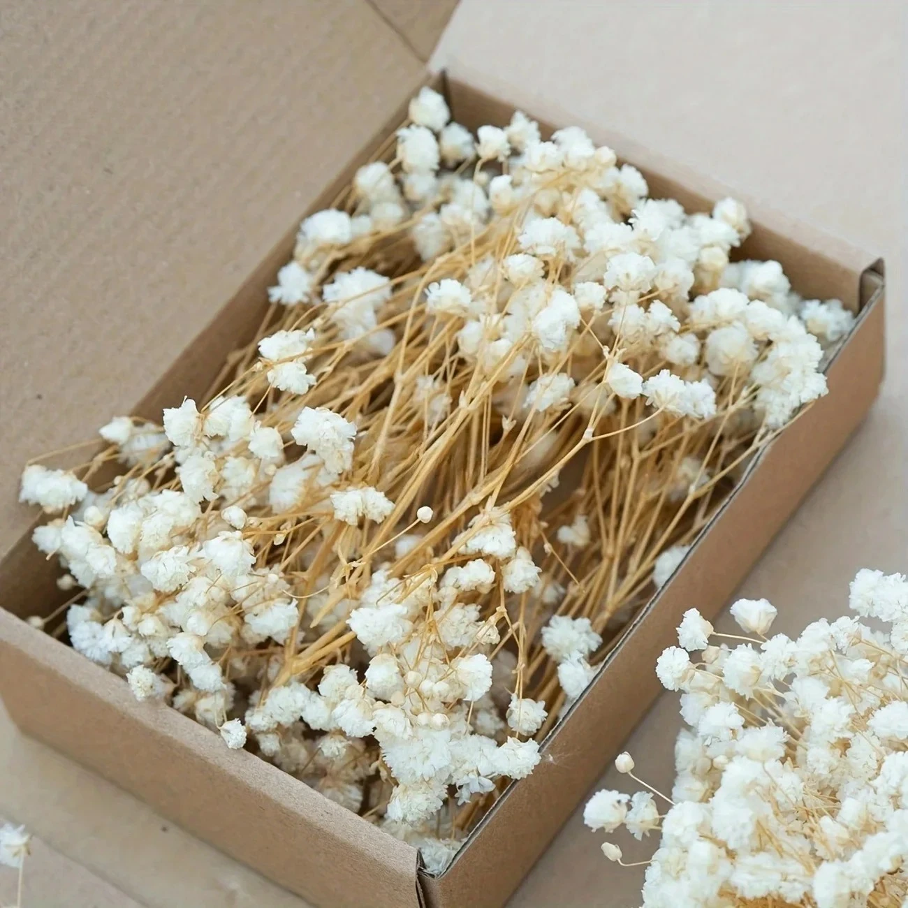 50pcs Mini Dried Baby's Breath - مراجعة Baby Breath Dried وسعره