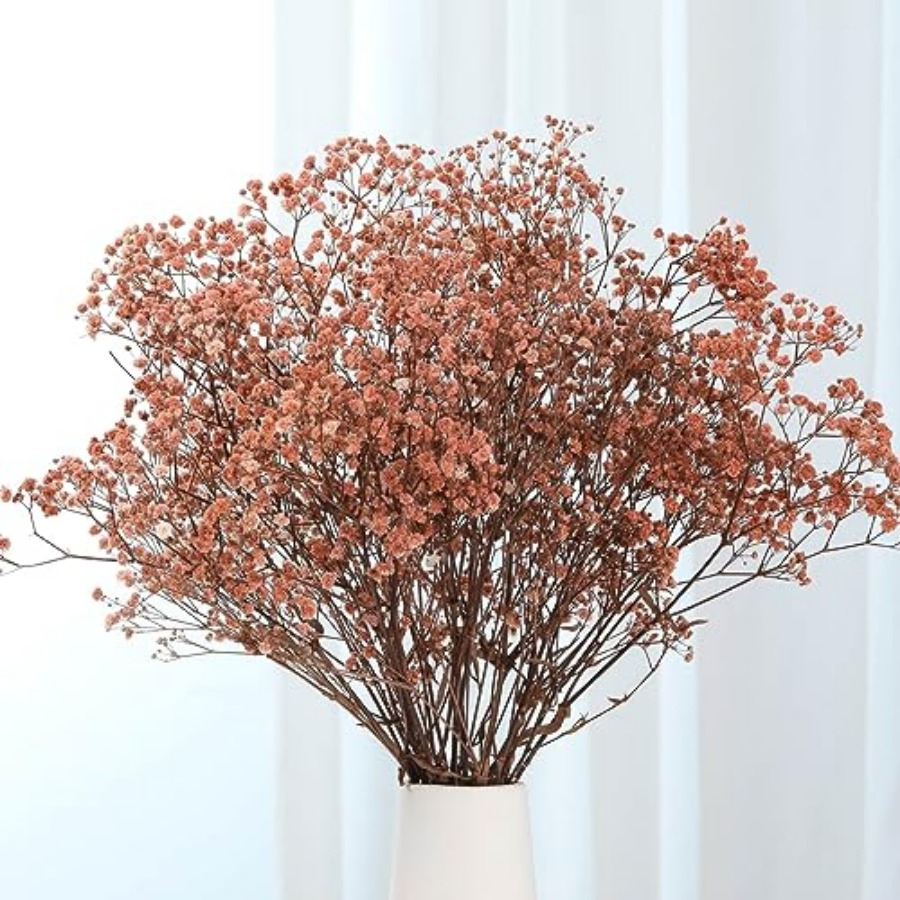 Babys Breath Dried Flowers Bou - مراجعة Baby Breath Dried وسعره