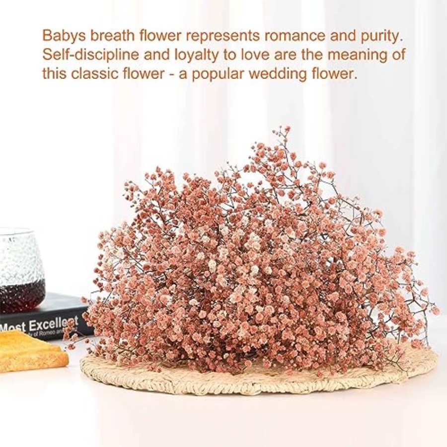Babys Breath Dried Flowers Bou - مراجعة Baby Breath Dried وسعره