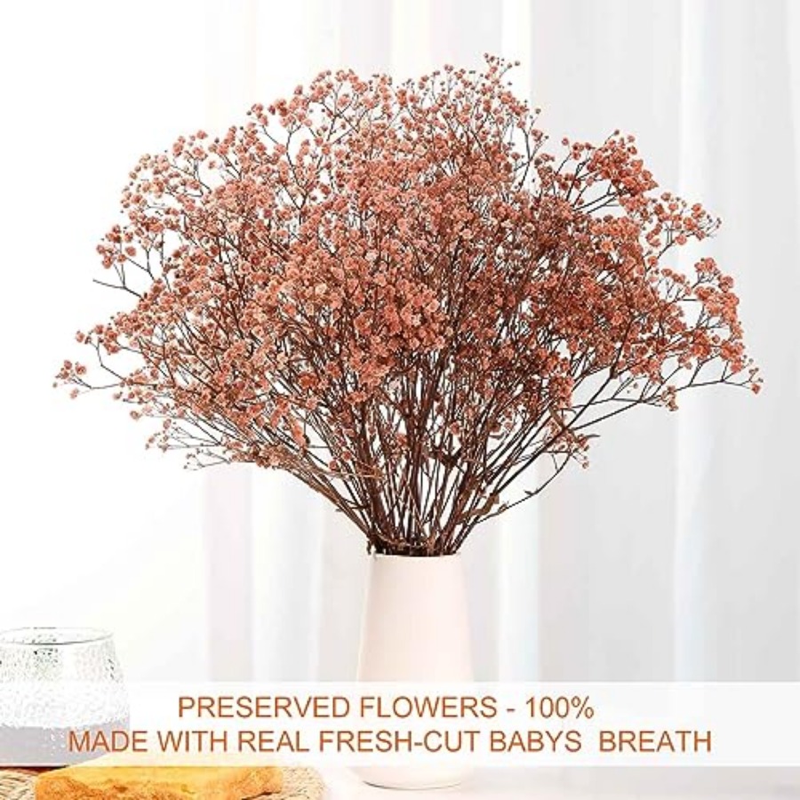 Babys Breath Dried Flowers Bou - مراجعة Baby Breath Dried وسعره