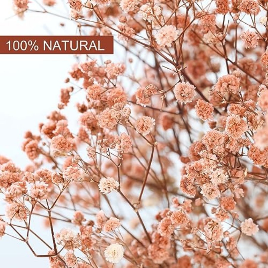 Babys Breath Dried Flowers Bou - مراجعة Baby Breath Dried وسعره