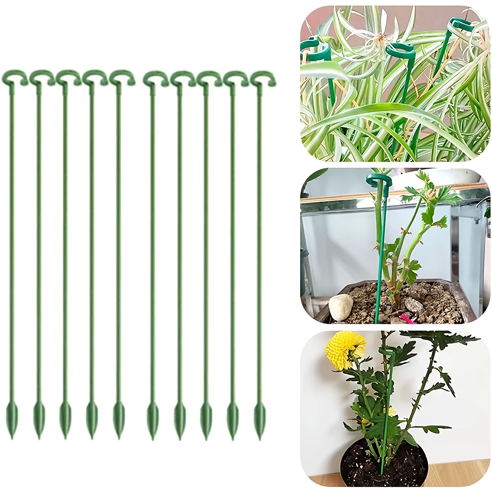 5/10PCS Plant Supports Stand B - مراجعة Florist Supp وسعره