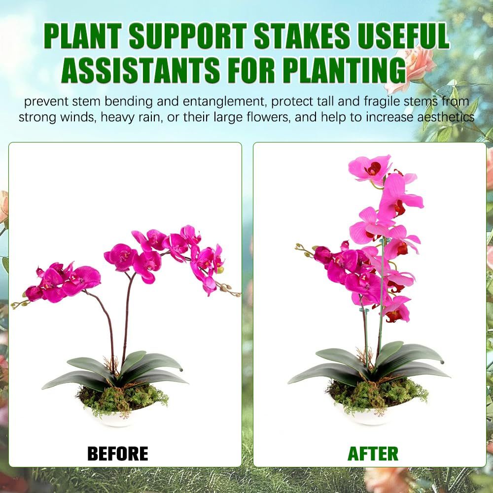 5/10PCS Plant Supports Stand B - مراجعة Florist Supp وسعره