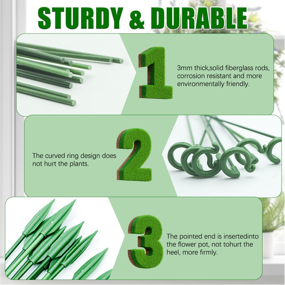5/10PCS Plant Supports Stand B - مراجعة Florist Supp وسعره