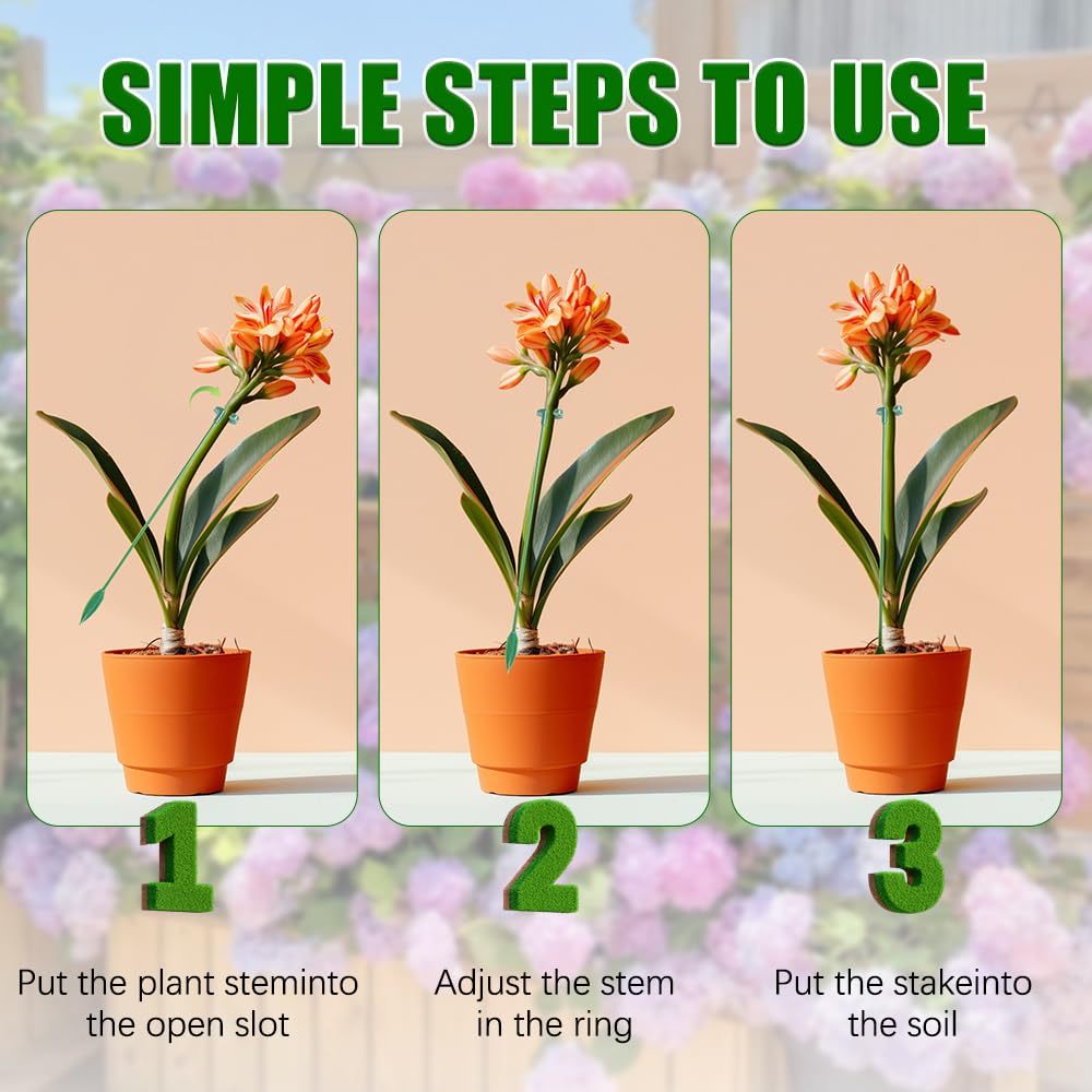 5/10PCS Plant Supports Stand B - مراجعة Florist Supp وسعره