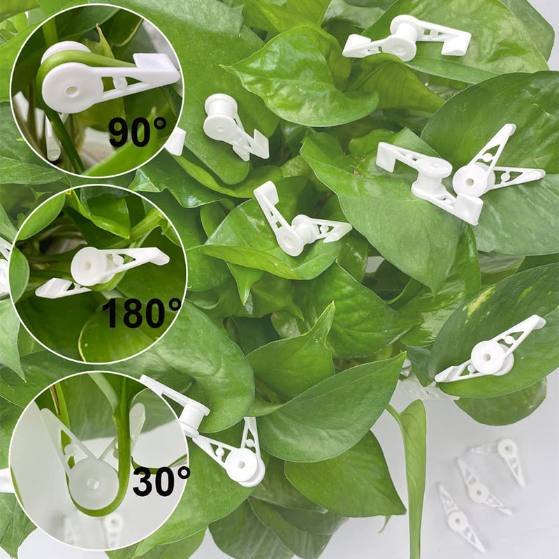 10/30Pcs Plant Bender 360 Degr - مراجعة Florist Supp وسعره