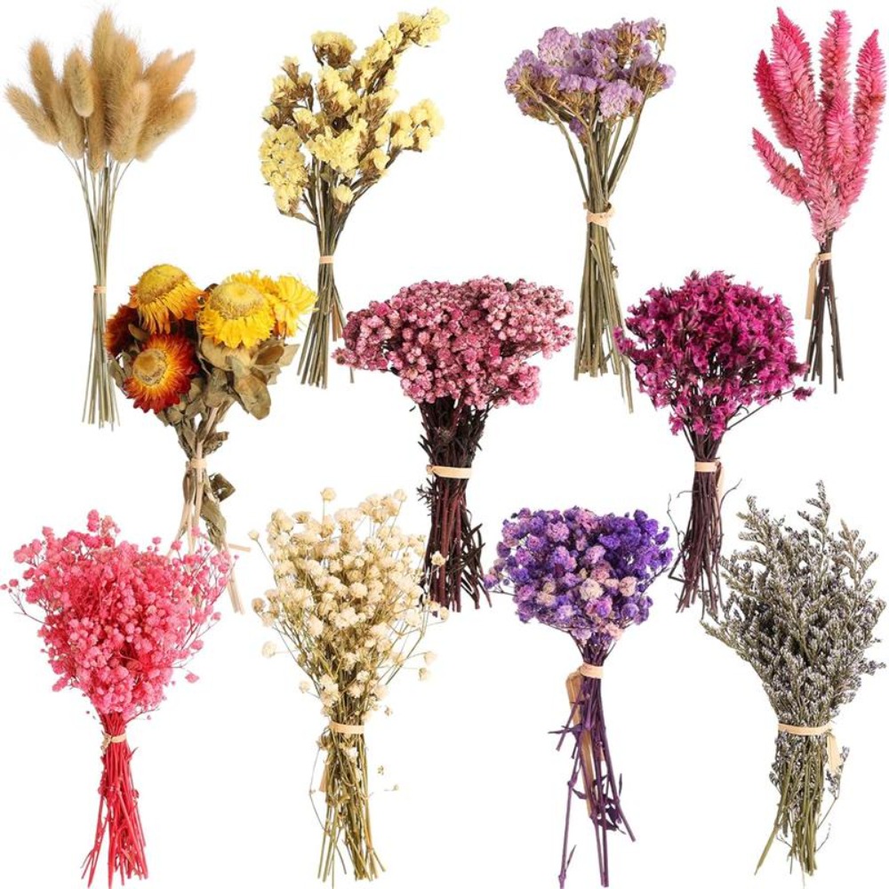 DIY Small Bouquet Mini Dried B - مراجعة Baby Breath Dried وسعره