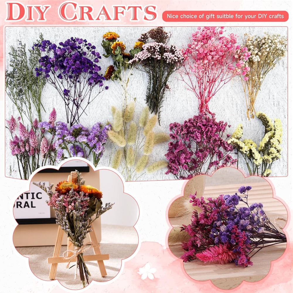 DIY Small Bouquet Mini Dried B - مراجعة Baby Breath Dried وسعره