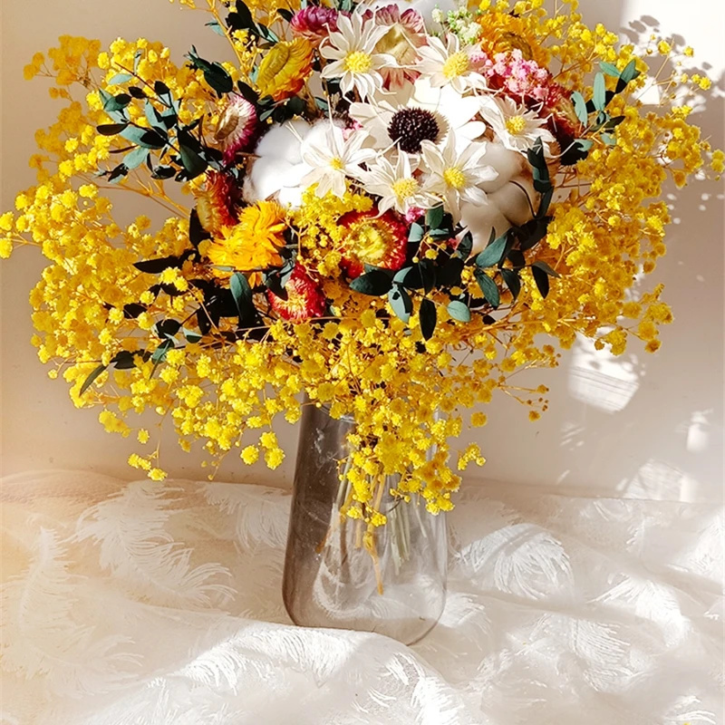 Natural Dried Flower Gypsophil - مراجعة Baby Breath Dried وسعره