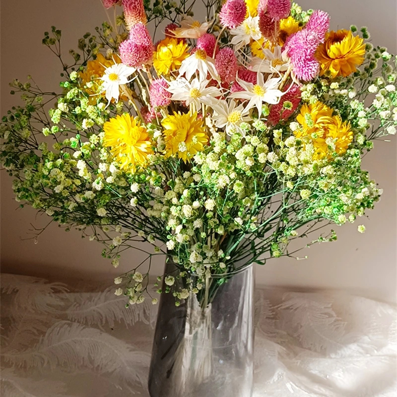 Natural Dried Flower Gypsophil - مراجعة Baby Breath Dried وسعره