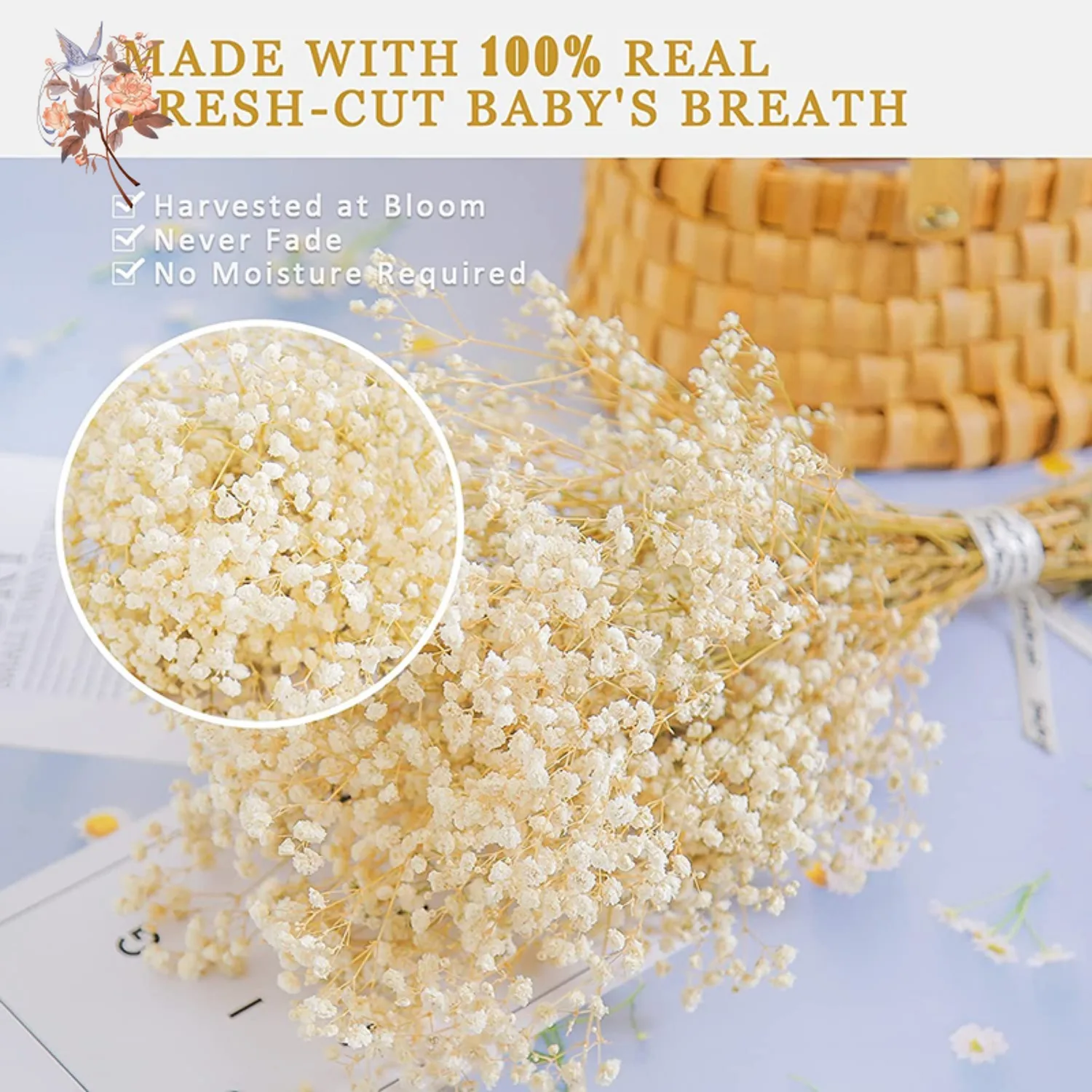 Real Baby Breath Dried Flowers - مراجعة Baby Breath Dried وسعره