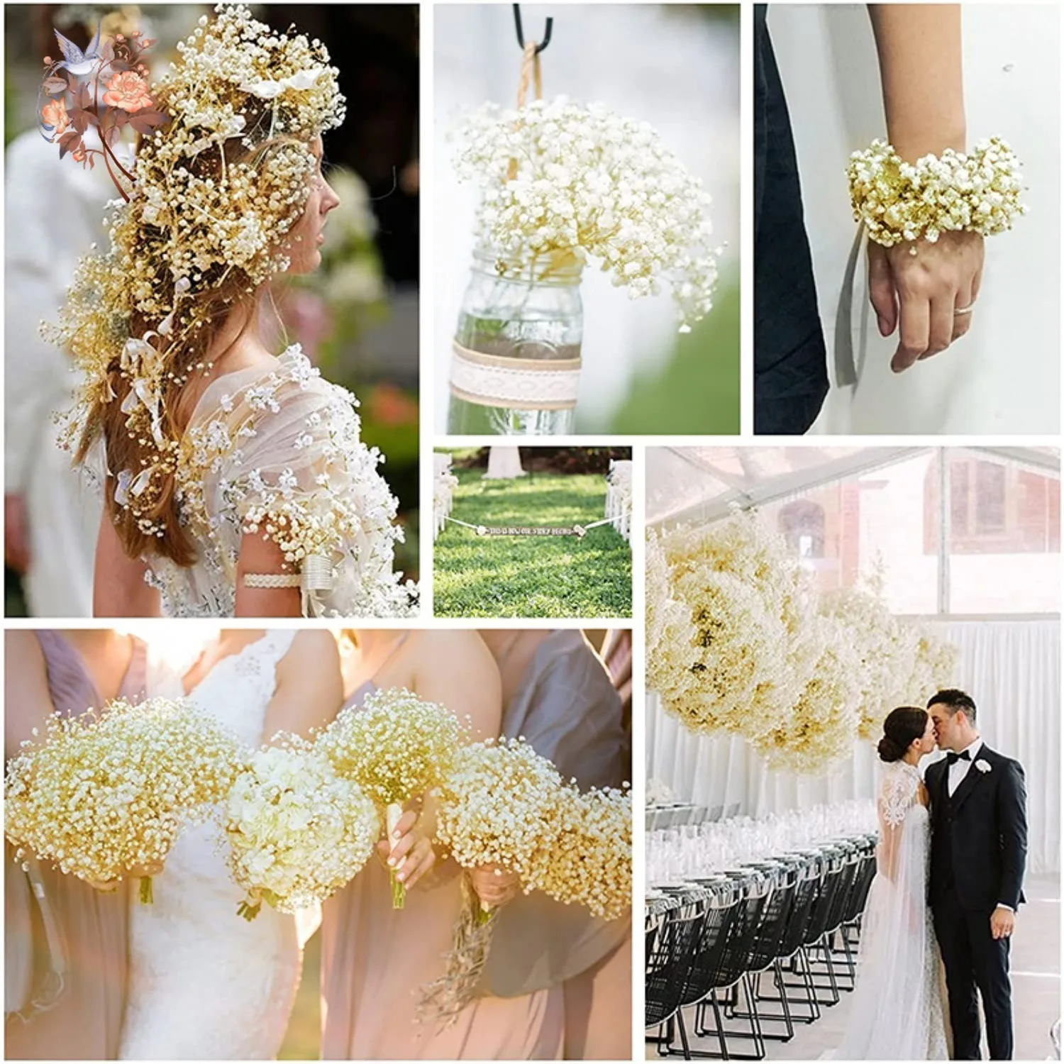 Real Baby Breath Dried Flowers - مراجعة Baby Breath Dried وسعره