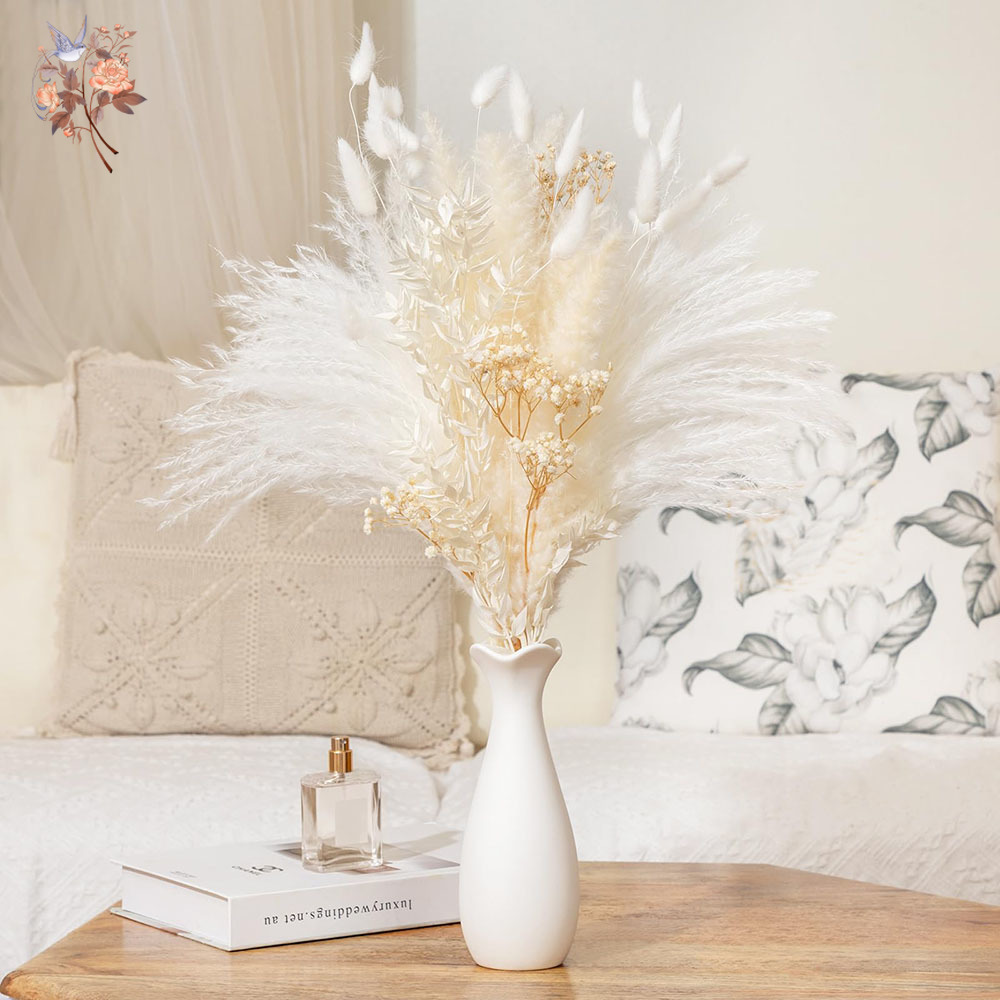 40pcs White Natural Dried Flow - مراجعة Baby Breath Dried وسعره