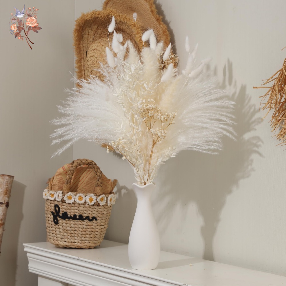 40pcs White Natural Dried Flow - مراجعة Baby Breath Dried وسعره