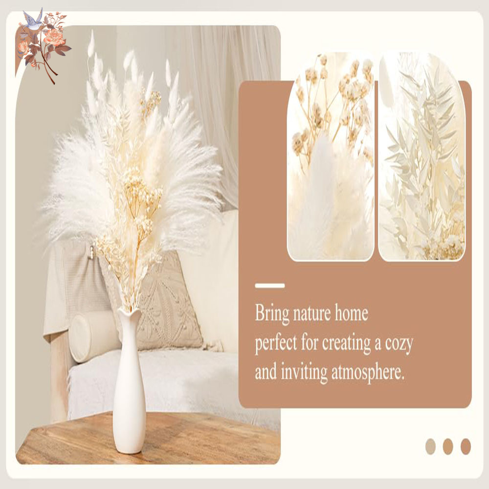 40pcs White Natural Dried Flow - مراجعة Baby Breath Dried وسعره