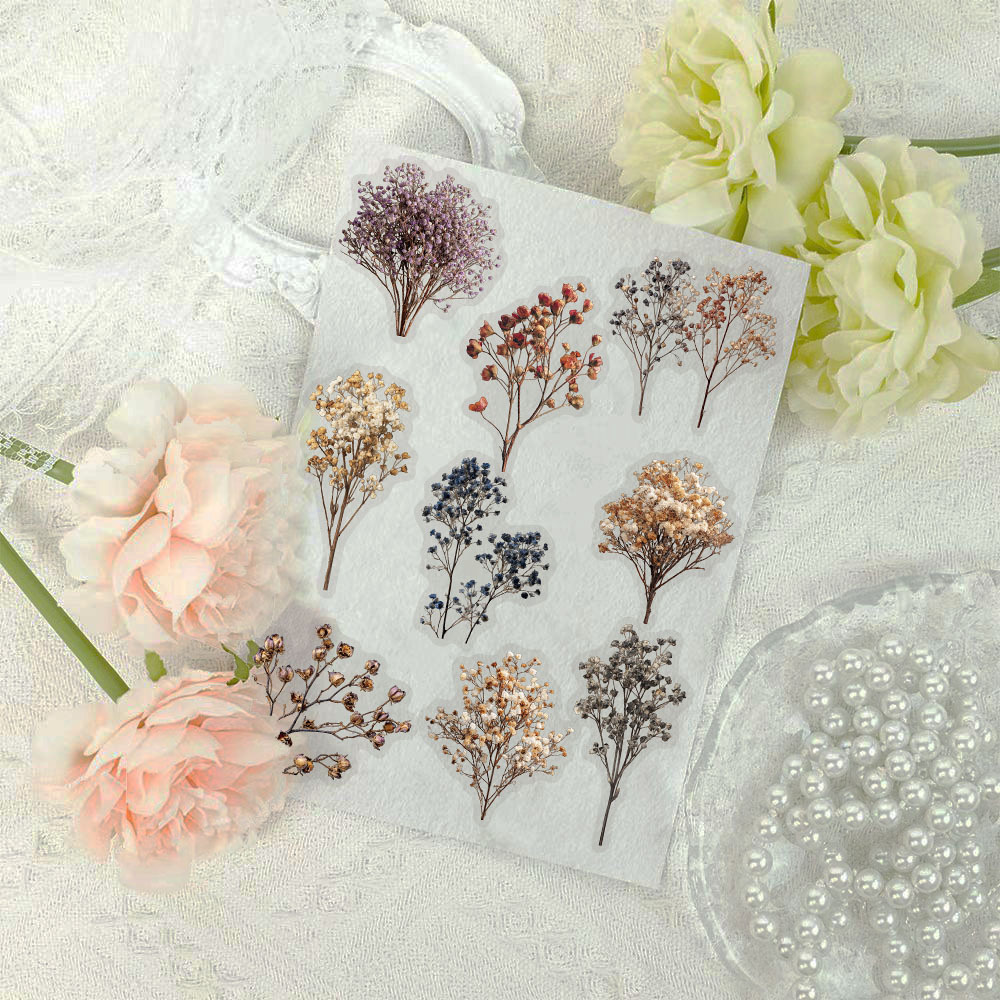 50 Pcs Vintage Dried Baby‘s Br - مراجعة Baby Breath Dried وسعره