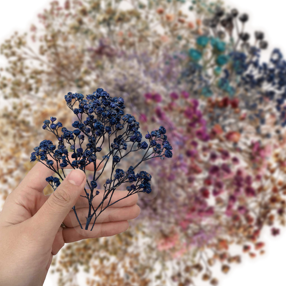 50 Pcs Vintage Dried Baby‘s Br - مراجعة Baby Breath Dried وسعره