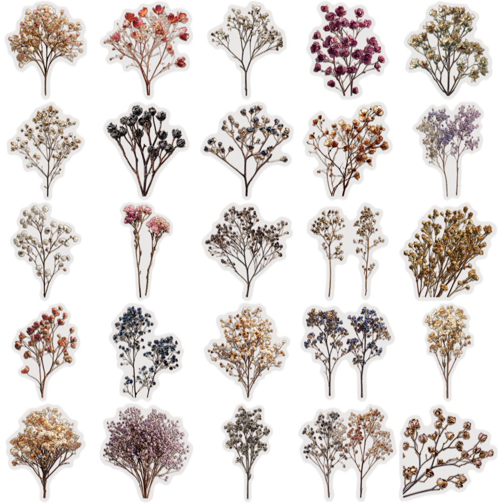50 Pcs Vintage Dried Baby‘s Br - مراجعة Baby Breath Dried وسعره