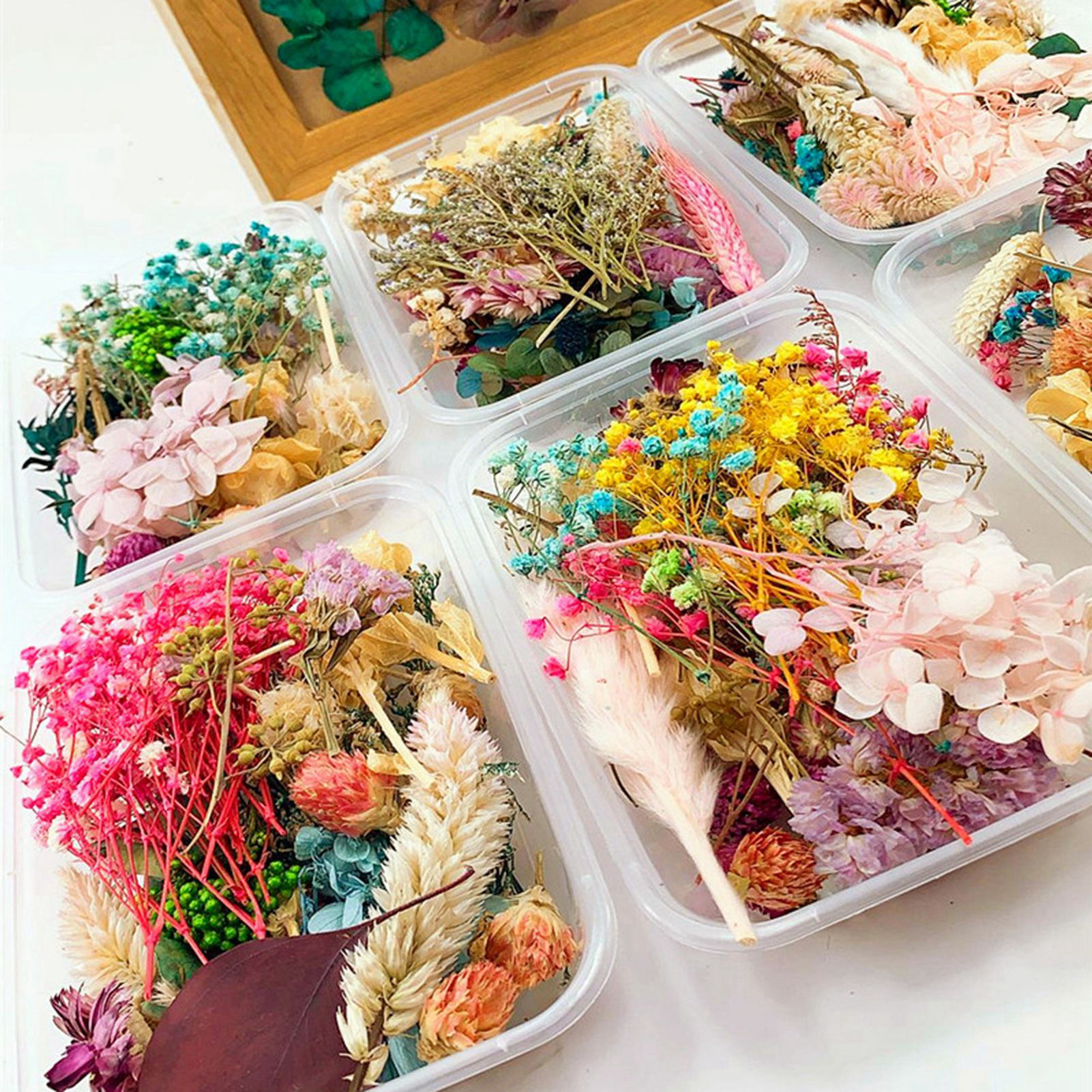 Dried flower handmade DIY prod - مراجعة Baby Breath Dried وسعره