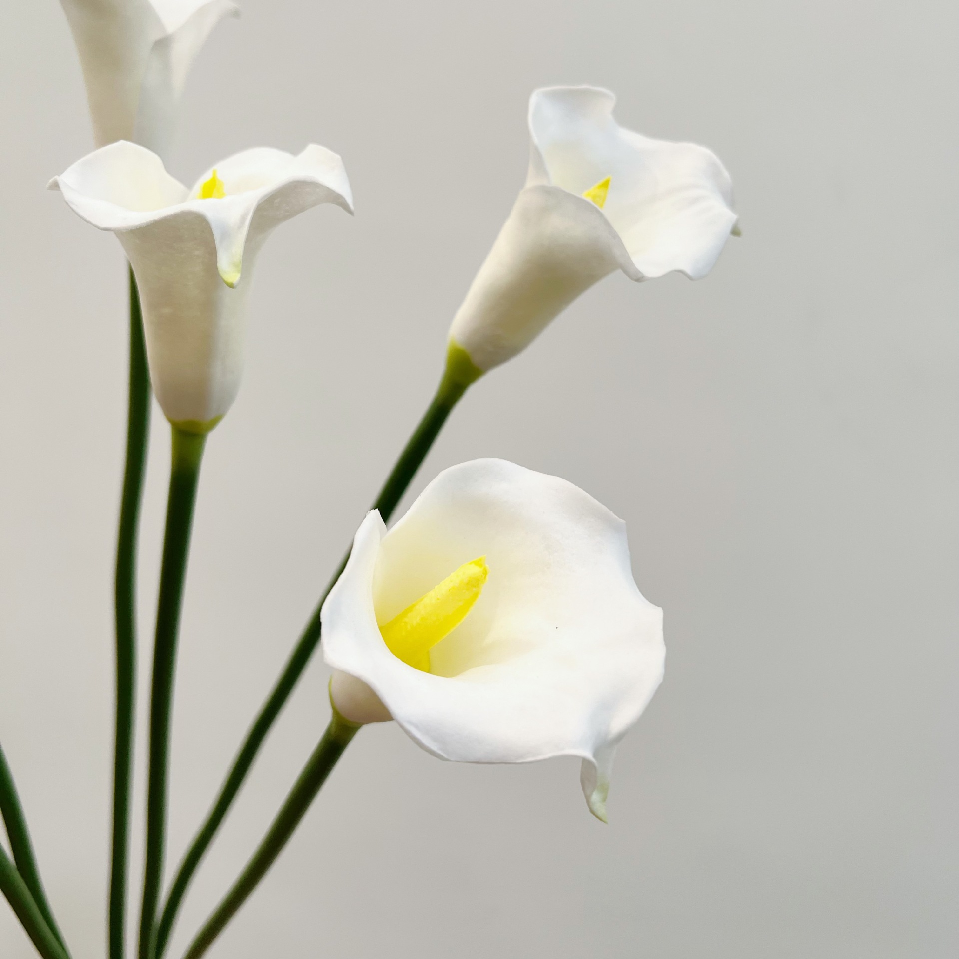 26 Inch Single Stem Crescent C - مراجعة Florist Supp وسعره