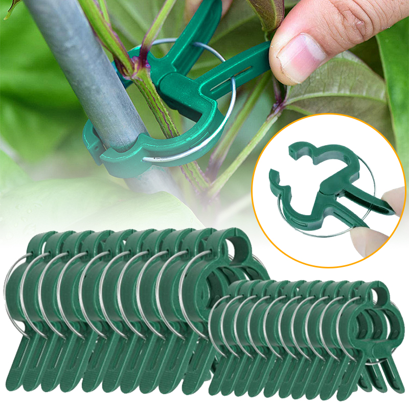 20Pcs Plant Fixed Clips Reusab - مراجعة Florist Supp وسعره