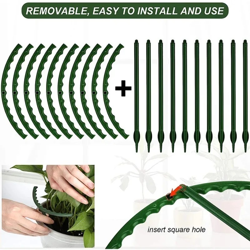 Plastic Plant Support Ring Orc - مراجعة Florist Supp وسعره