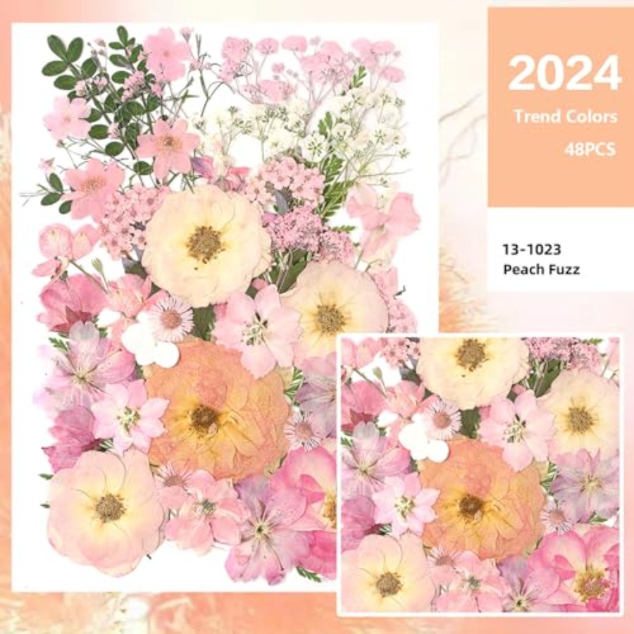 14 Types Pink Dried Pressed Fl - مراجعة Baby Breath Dried وسعره