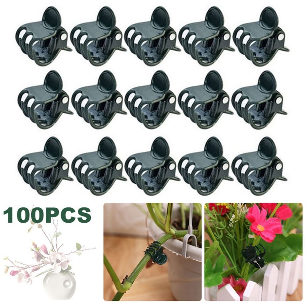 Vine Grafting Plant Clips Supp - مراجعة Florist Supp وسعره