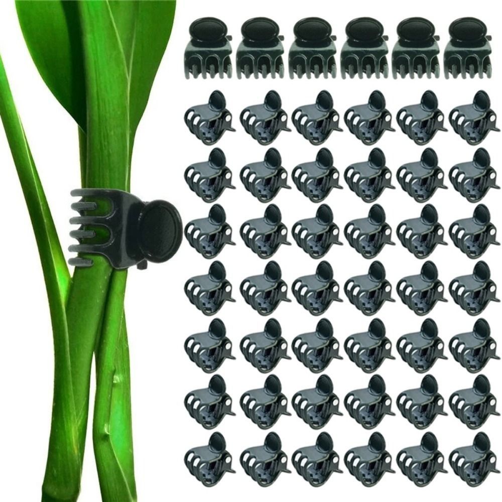 Vine Grafting Plant Clips Supp - مراجعة Florist Supp وسعره