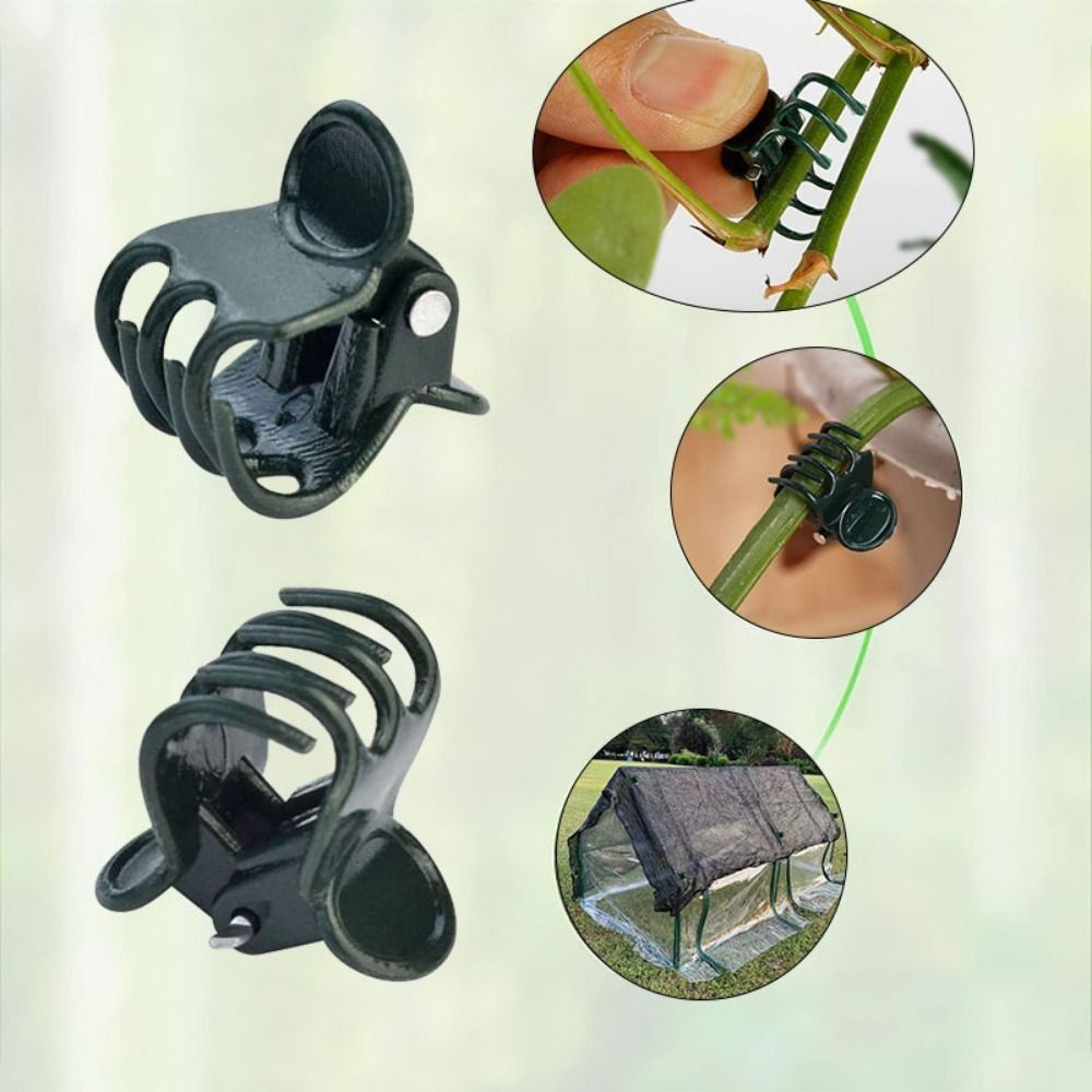 Vine Grafting Plant Clips Supp - مراجعة Florist Supp وسعره