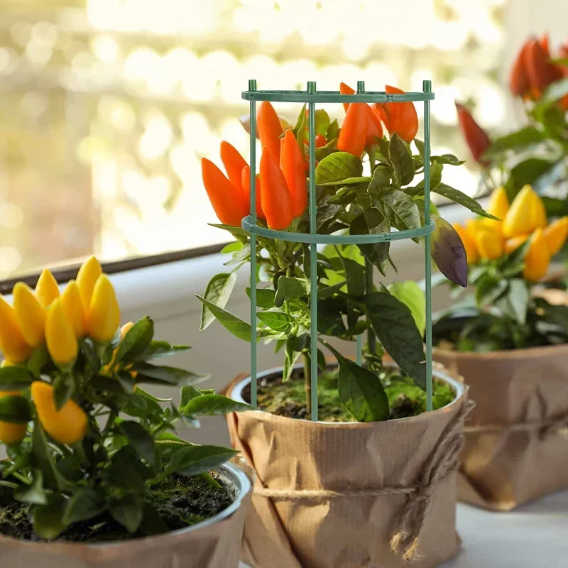 Plastic Plant Support Pile Sta - مراجعة Florist Supp وسعره