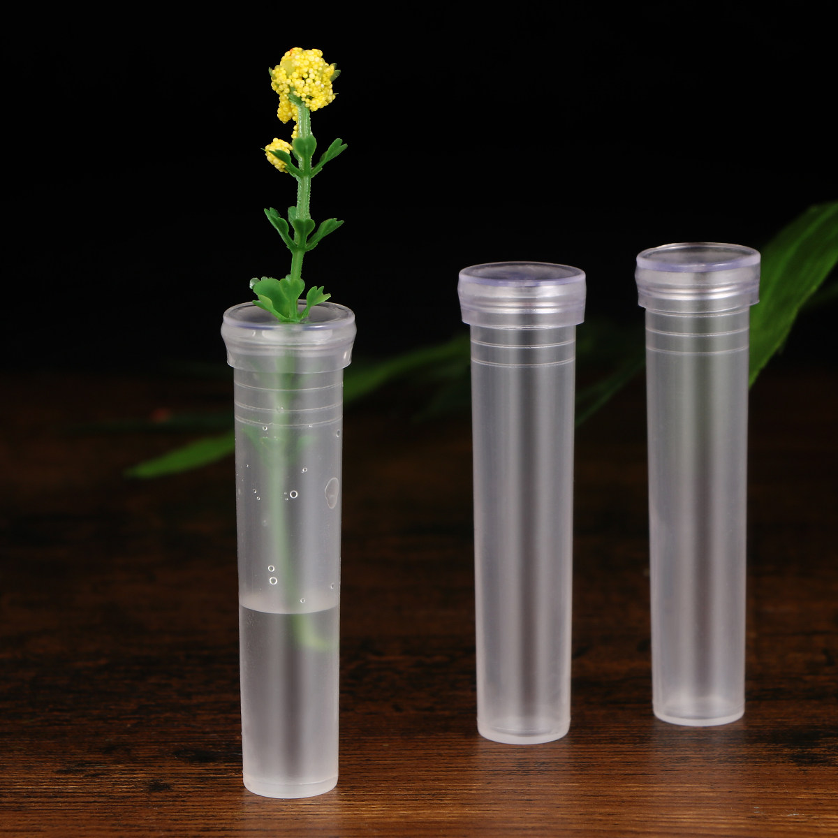50Pcs Nutrition Plastic Flower - مراجعة Longs Florist Supply وسعره