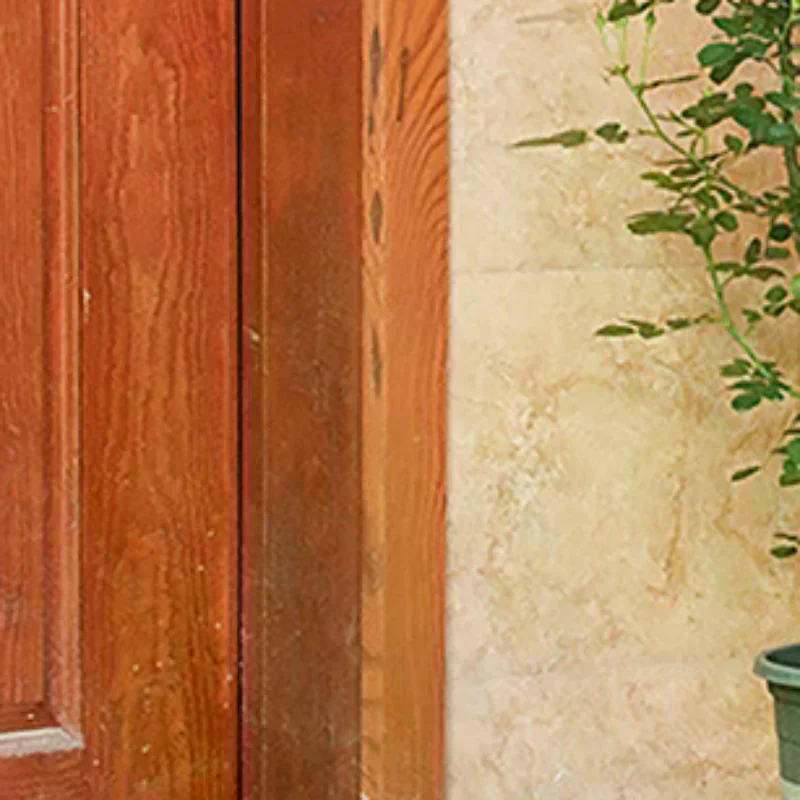 1Set Climbing Plant Trellis Ga - مراجعة Florist Supp وسعره