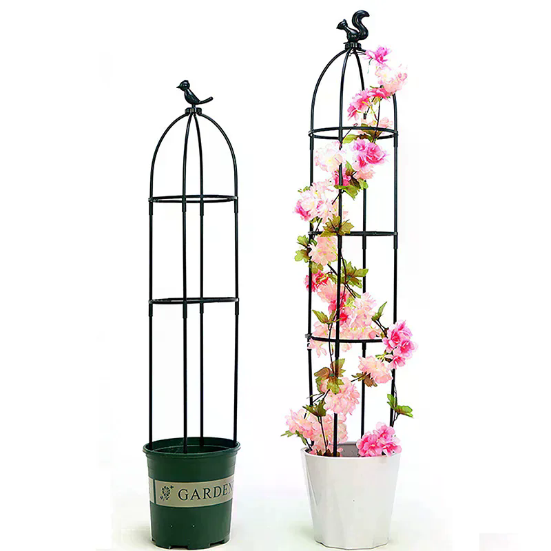 1Set Climbing Plant Trellis Ga - مراجعة Florist Supp وسعره