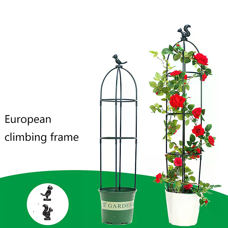 1Set Climbing Plant Trellis Ga - مراجعة Florist Supp وسعره