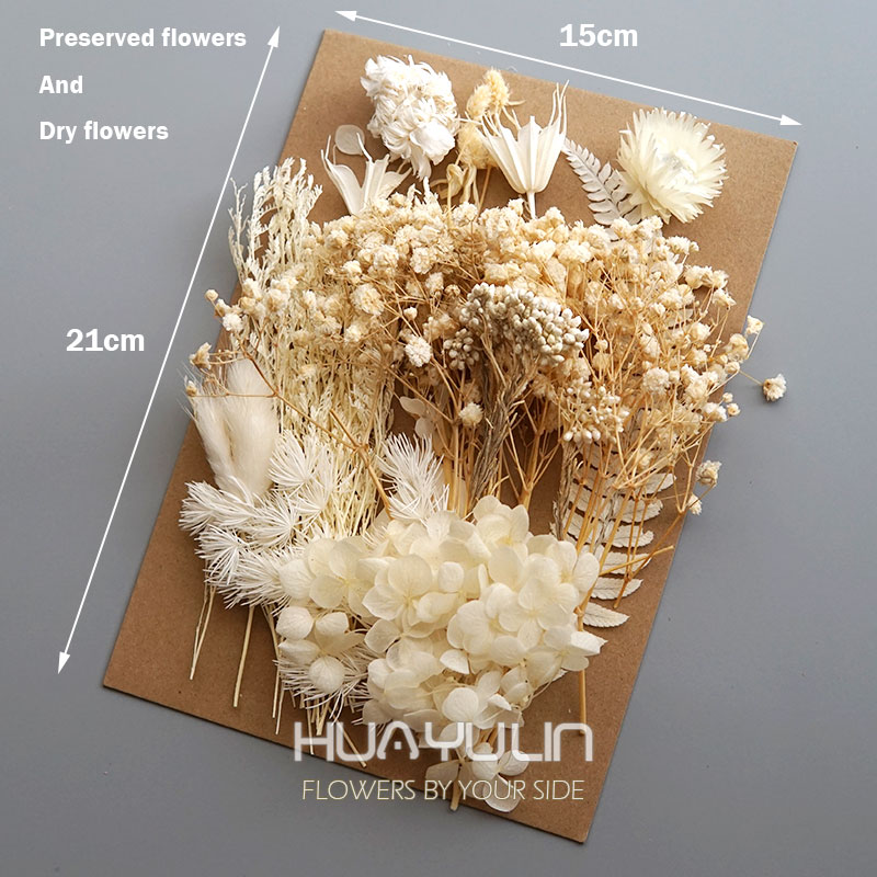 1 Pack Artificial Plants Dried - مراجعة Baby Breath Dried وسعره