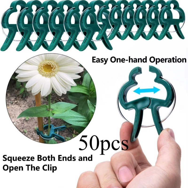 50 Reusable Plant Fixed Clips, - مراجعة Florist Supp وسعره
